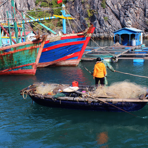 Halong Bay, Vietnam | Things you need to know about Halong Bay Halong Bay, Vietnam | Things you need to know about Halong Bay
